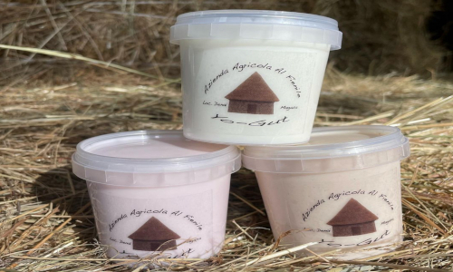 Yogurt artigianale di latte intero